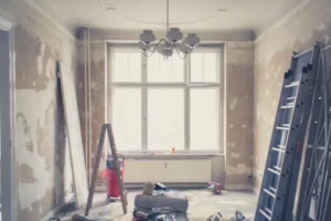 Por Qué Ser Partidario de Reformas Extremas Puede Cambiar tu Hogar